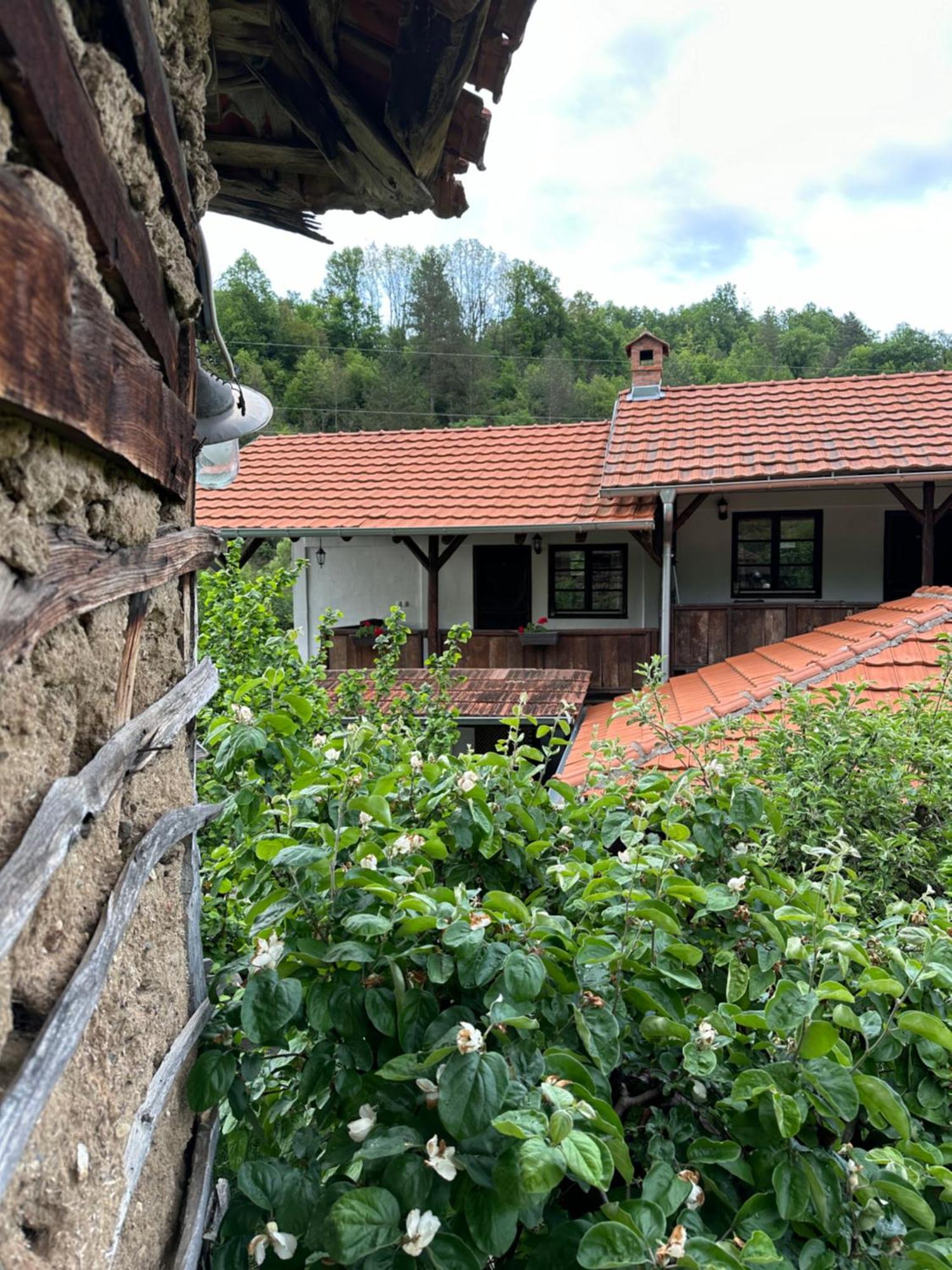 Konak Tosa Poganovo Exterior foto